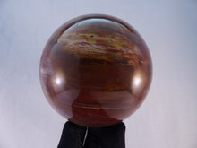 Large Madagascan Petrified Poducarpus Wood Sphere - 86mm, 855g