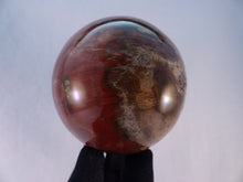 Large Madagascan Petrified Poducarpus Wood Sphere - 86mm, 855g