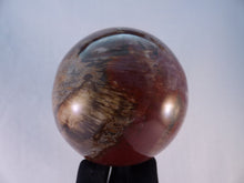 Large Madagascan Petrified Poducarpus Wood Sphere - 86mm, 855g