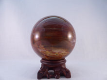 Large Madagascan Petrified Poducarpus Wood Sphere - 86mm, 855g