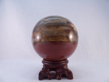 Large Madagascan Petrified Poducarpus Wood Sphere - 86mm, 855g